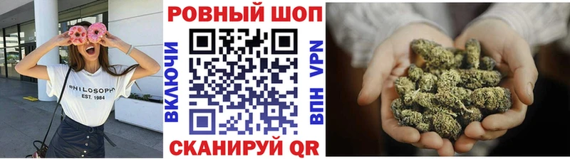 Альфа ПВП Княгинино