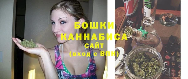 сатива Верея