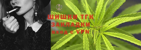 сатива Верея