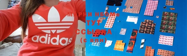сатива Верея