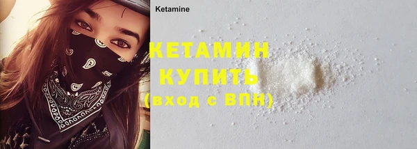 сатива Верея