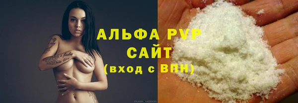 сатива Верея