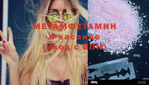 сатива Верея