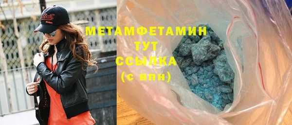 сатива Верея
