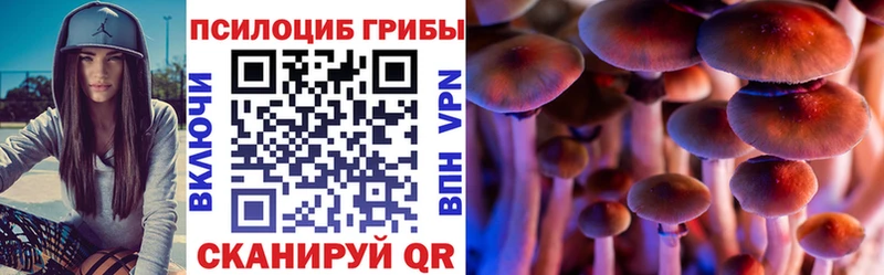 Псилоцибиновые грибы мухоморы  Купить  Княгинино 
